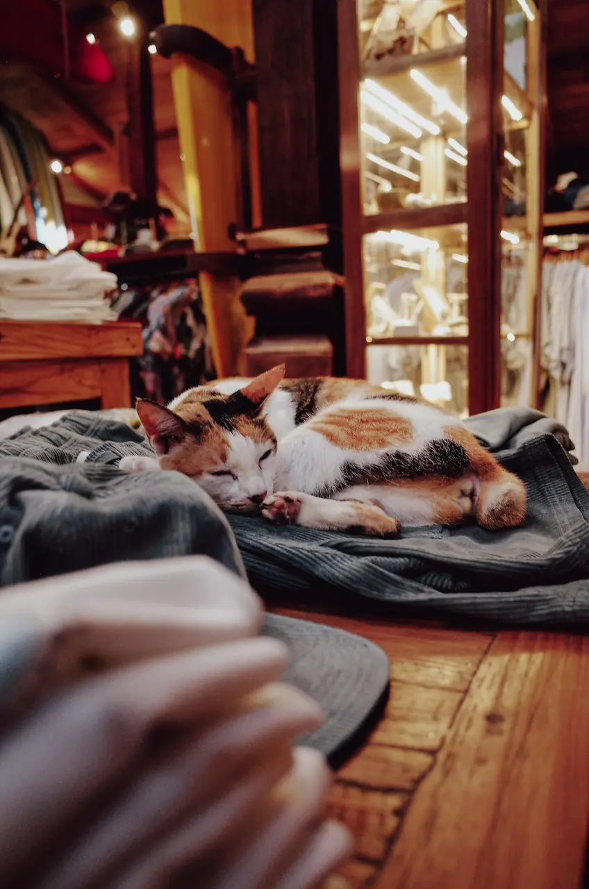 TalkMedia I 9bcce724fb25 2